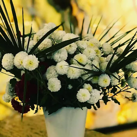 Royal G & 4 Star Durrës