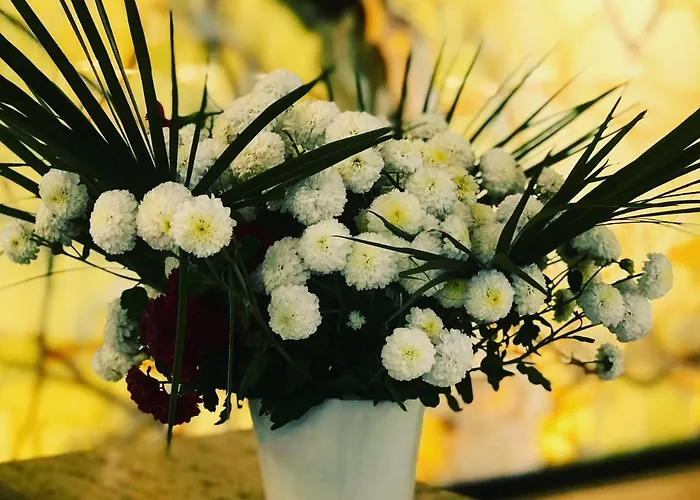 Royal G & 4 Star Durres